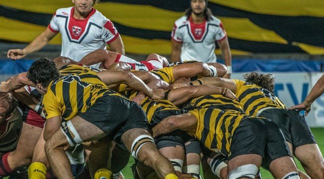 imagen de Peñarol volverá a representar a Uruguay en la SLAR