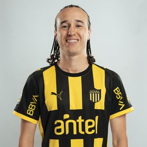 imagen de Diego Laxalt