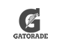sponsor
